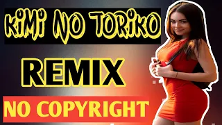 Download KIMI NO TORIKO REMIX || NO COPYRIGHT 2020 MP3