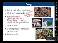 Download Lagu Chapter 1:  Introduction to Microbiology