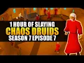 Slaying Chaos Druids Testing OSRS Wiki Money Making Methods Money Making Guide 2022