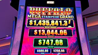 JACKPOT NEW BUFFALO MEGA STAMPEDE GRAND