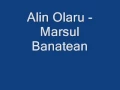 Download Lagu Alin Olaru - Marsul Banatean