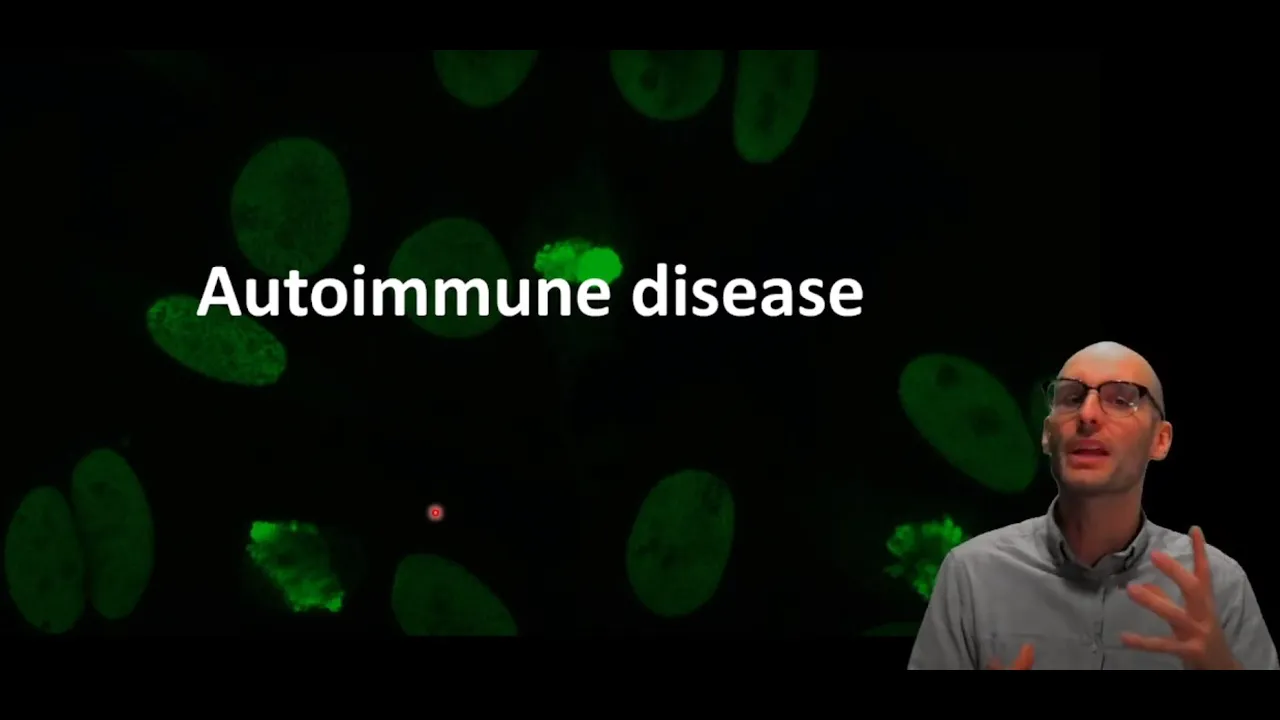 What are autoimmune diseases?