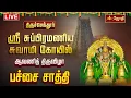 Download Lagu 🔴LIVE:திருச்செந்தூர் அருள்மிகு சுப்பிரமணியசுவாமி திருக்கோயில் ஆவணித்திருவிழா பச்சை சாத்தி அபிஷேகம்