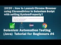 How to Launch Chrome Browser using ChromeDriver in Selenium Script with setting SystemProperty
