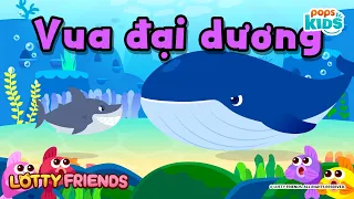 Vua đại dương | LOTTY FRIENDS | Động vật biển