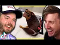 Download Lagu I dare you not to laugh at these TikToks!