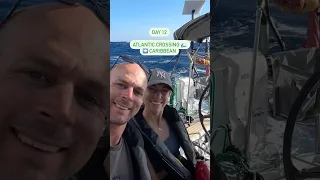 Atlantic Crossing DAY 12 🐠 ➡️ Caribbean. Arrival time is showing! #sailing #atlanticcrossing