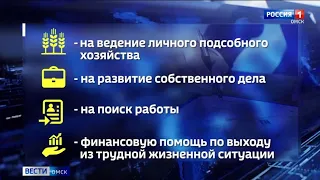 Омичи всё охотнее обращаются за господдержкой для развития бизнеса