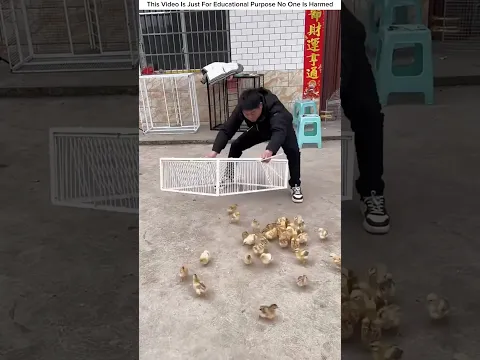 Hunting animals and birds new gadget 🙀 #facts #gadgets #shorts