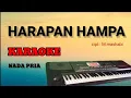 Download Lagu HARAPAN HAMPA (Mashabi) || KARAOKE || DANGDUT KORG PA600