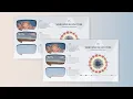 Create an Infographic Card to Present the Wind Speed In New York using Stacked Rose Chart