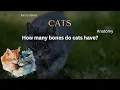 Cat Fact 88 - How many bones do cats have
