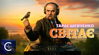 Тарас Шевченко Світає край неба палає Ethno Electronic Проєкт Міністерство сенсів 