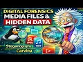 Media Files Metadata in Digital Forensics Steganography Carving Hidden Data Explained