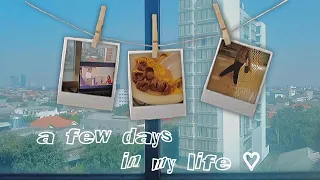 Download a few days in my life!💐 || Indonesia MP3