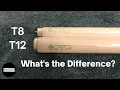 T8 vs T12 Fluorescent Lamps - What s the Difference