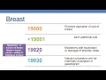 CPT CODING GUIDELINES FOR SURGERY INTEGUMENTARY SYSTEM PART 2A BREAST