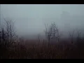 Stephan Moccio - October