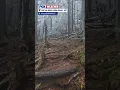 Winter wonderland in North Carolina