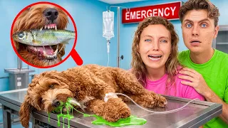 My Dog Wouldn’t STOP EATING FISH… We Rushed to the HOSPITAL!