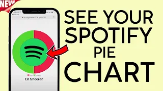 EASY How to see Your Spotify Pie Chart NEW 2022 GITHUB Pie Boy Darren Huang