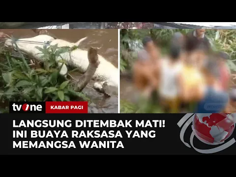 Ngeri! Kaki & Tangan Hilang, Wanita Tewas Diterkam Buaya Sepanjang 5 Meter