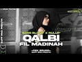Download Lagu DJ QALBI FIL MADINA|| STYLE BASS NGRATAP X NULUP - COCOK BUAT CEKSOUND