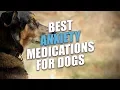 Best Anxiety Medications for Dogs