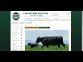 How to EXPLORE MAJORS at CSU