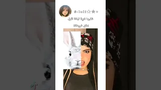 تستهبل    ههههههه دندنها