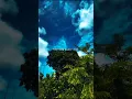 Download Lagu 🥀Tere Sang Gujar Jaye💘 - Lofi Status || Lofi✍️Lyrics Status || Lofi Life #ytshorts #video