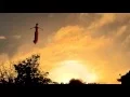 Flight animation test Moho Pro 12