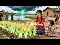 Download Lagu A rural girl wished on dry land, and crops bloomed at once—revealing she’s the chosen lucky heiress!