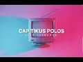 Download Lagu Cap Tikus Polos Alan Darmawan [ Maba Creative Offcial ]