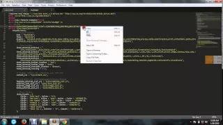 how to connect TinyMCE with your application