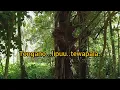 Download Lagu lagu daerah kulisusu terbaru curuano reangku by udin