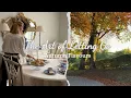 Download Lagu New Chapter in Autumn |  English Muffins, Apple Cake | Peaceful Countryside  Strolls