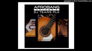 dj tears plk take me home original 