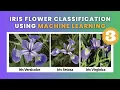 Iris Flower Classification - Part 3 Data Science Machine Learning Python 2023