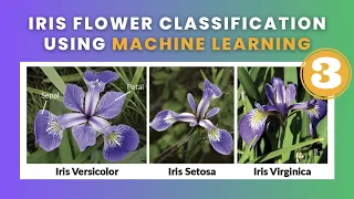 Iris Flower Classification - Part 3 Data Science Machine Learning Python 2023