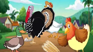 أفضل قصص تربوية الدجاجة الذكية والطيور الغبية 