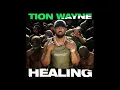 Tion Wayne - Healing (Instrumental)