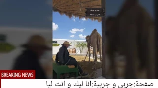حسن البقلوطي ما جاني جواب 
