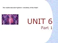 Physiology l - The Cardiovascular System Unit 6 Part 1