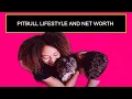 Pitbull Lifestyle And Net Worth