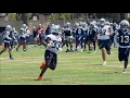 Sheesh Cowboys rookie S Caleb Downs is everywhere making plays Draft Steal