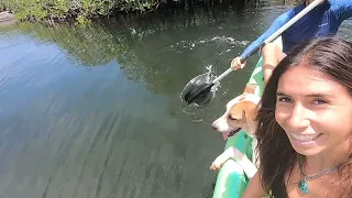 Ep. 297 Hotel life brings big smiles to Margarida but where is the adventure