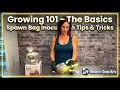 How to Inoculate Use Spawn Bags - Growing 101
