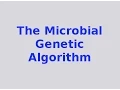 Genetic Algorithms The Microbial Genetic Algorithm