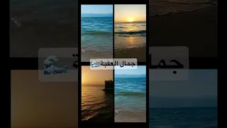 العقبة Love Jo الاردن 2023 Nature Jo 